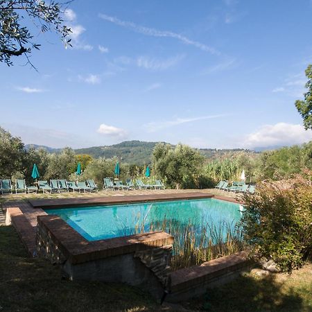 Villa Sardini Lucca Exterior foto