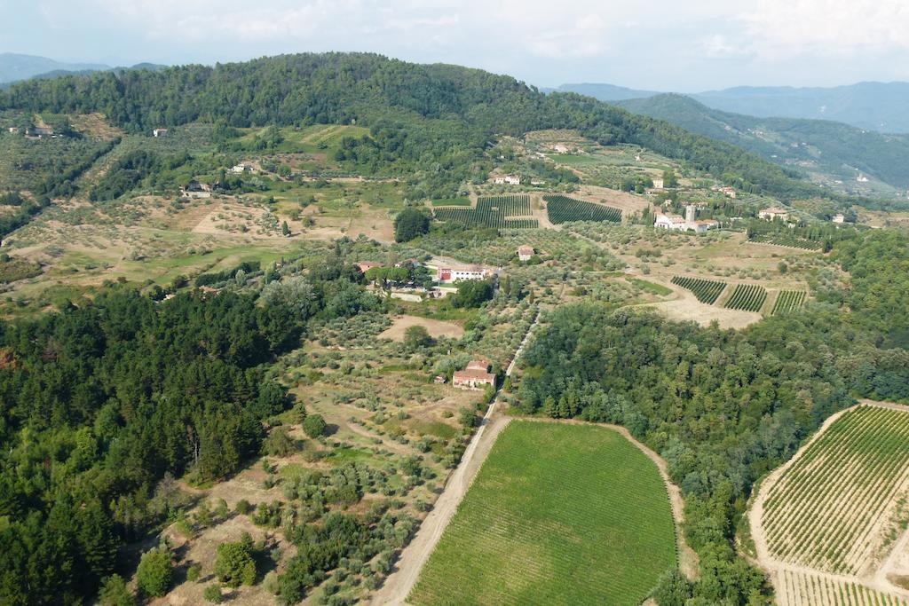Villa Sardini Lucca Exterior foto
