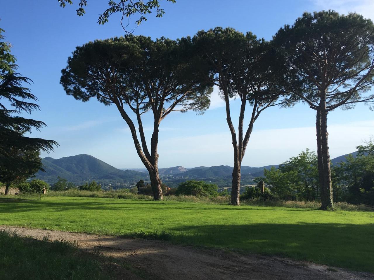 Villa Sardini Lucca Exterior foto
